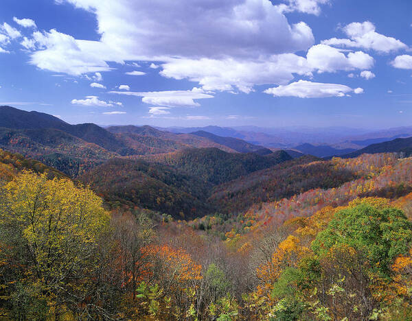 00175780 Art Print featuring the photograph Autumn From Thunderstruck Ridge by Tim Fitzharris