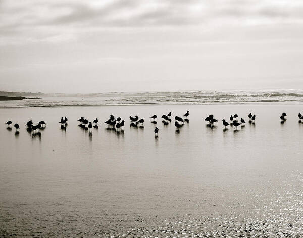 Seagulls Art Print featuring the digital art Beach Gulls Gather by Gary Olsen-Hasek