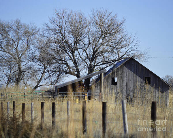 Old Barns Art Print featuring the photograph Behind The Fence by Renie Rutten