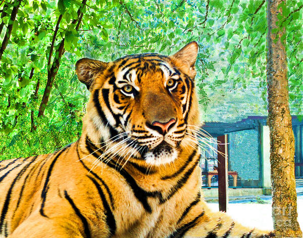 Bengal Tiger Art Print featuring the digital art Bengal Tiger Thailand by L J Oakes
