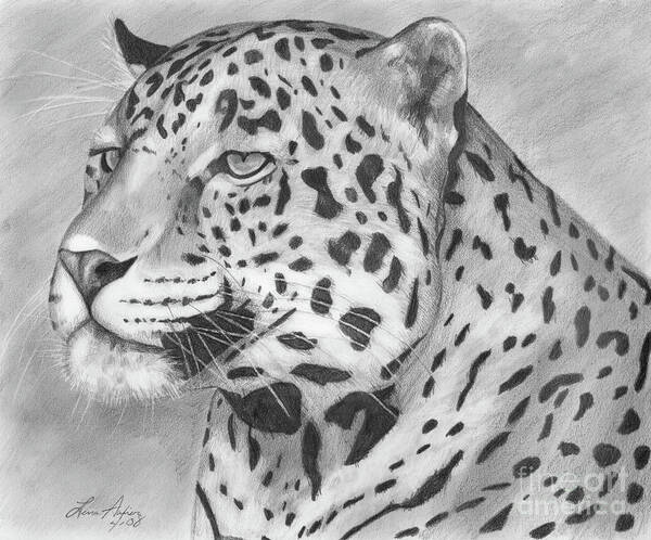 Cat Art Print featuring the drawing Big Cat by Lena Auxier