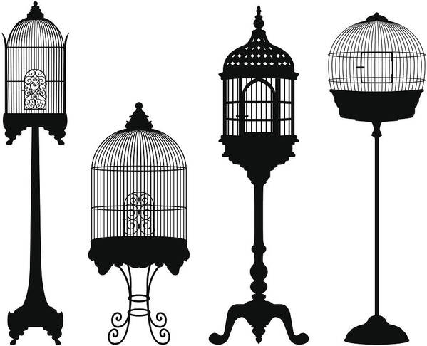 Birdcage Art Print featuring the drawing Birdcage Silhouettes by SongSpeckels
