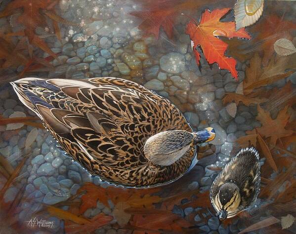 Ducks Art Print featuring the painting Bird's Eye View by Angela S Williams