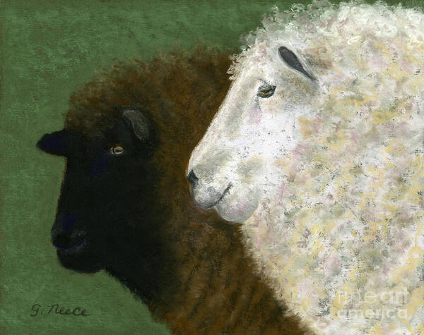 Sheep Art Print featuring the pastel Black Sheep White Sheep by Ginny Neece