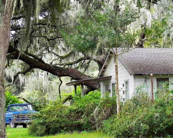 Deep South Art Print featuring the photograph Blue Truck and Moss by Patricia Greer