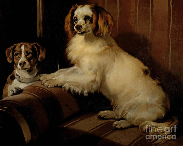 Dog Art Print featuring the painting Bony and Var by Edwin Landseer