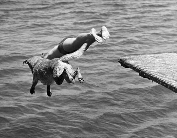 1940 Art Print featuring the photograph Boy And His Dog Dive Together by Underwood Archives