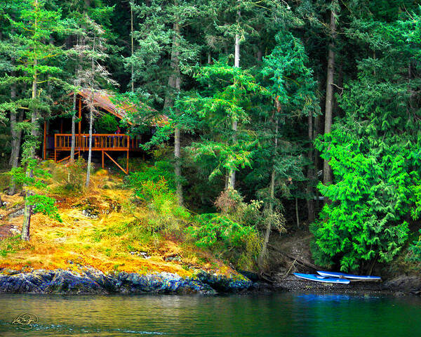 Nature Art Print featuring the photograph Cabin And Blue Boats by Vicki Lea Eggen