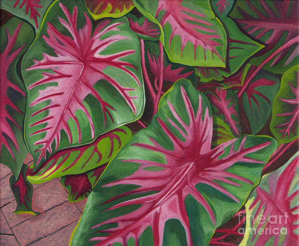 Caladiums Art Print featuring the painting Caladiums by Annette M Stevenson