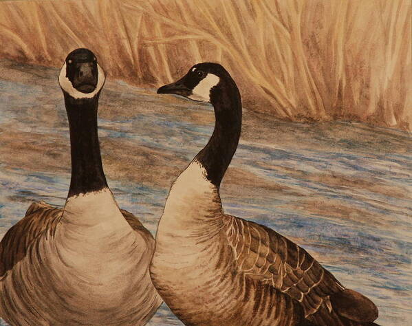 Canadian Goose Art Print featuring the painting Canadian Geese by Michelle Miron-Rebbe