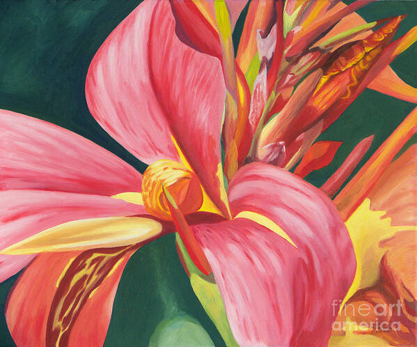 Canna Lily 2 By Annette M Stevenson Art Print featuring the painting Canna Lily 2 by Annette M Stevenson