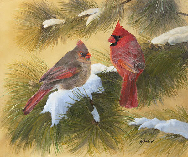Song Birds Art Print featuring the painting Cardinals And White Pine by Johanna Lerwick