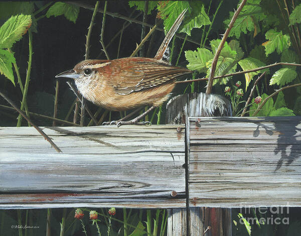 Carolina Wren Art Print featuring the painting Carolina Wren by Mike Brown