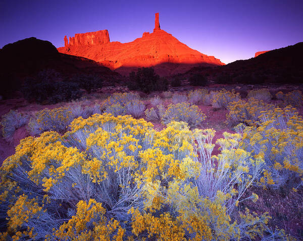 National Park Art Print featuring the photograph Castle Valley by Ray Mathis