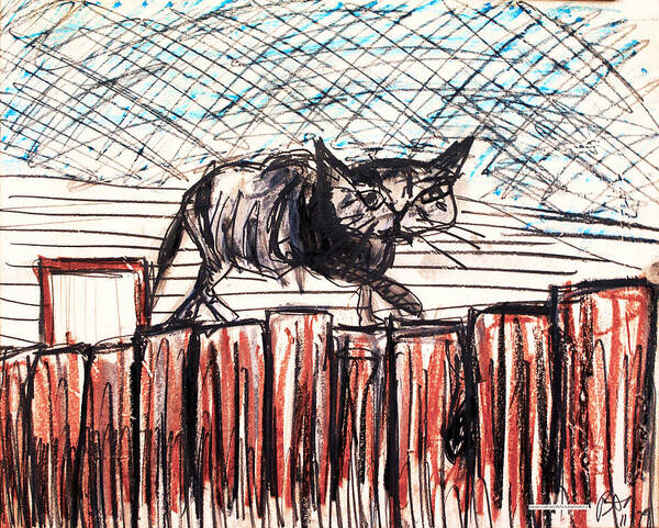 Cat Art Print featuring the drawing Cat on Fence by Brian Gilna