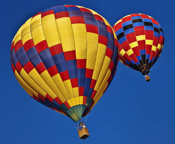 Hot Air Balloon Art Print featuring the photograph Checkers by Diana Powell
