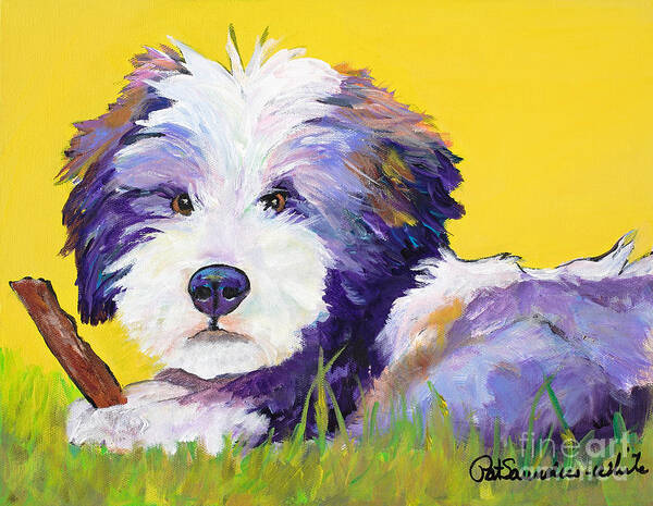 Tibetan Terrier Art Print featuring the painting Chew Stick by Pat Saunders-White