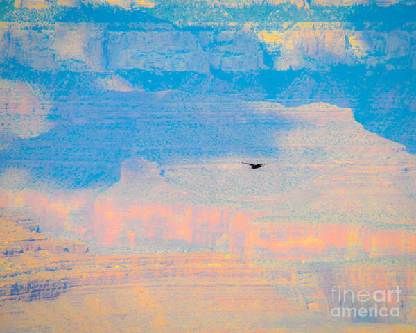 Grand Art Print featuring the photograph Condor Series E by Cheryl McClure
