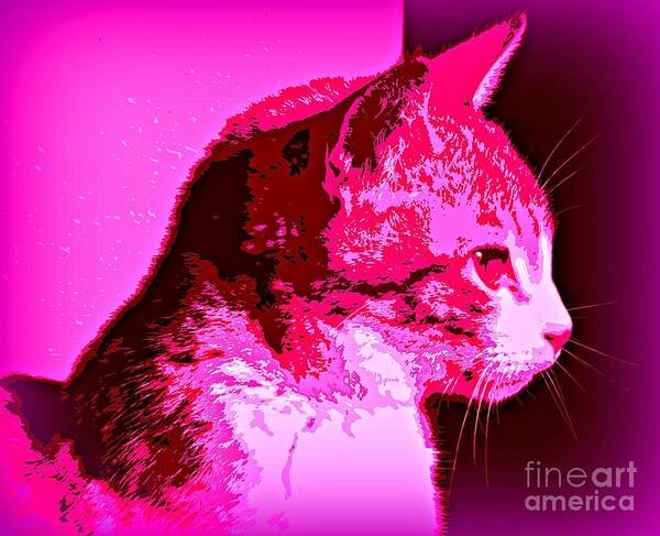 Cat Canvas Art Print featuring the photograph Cool Cat by Clare Bevan