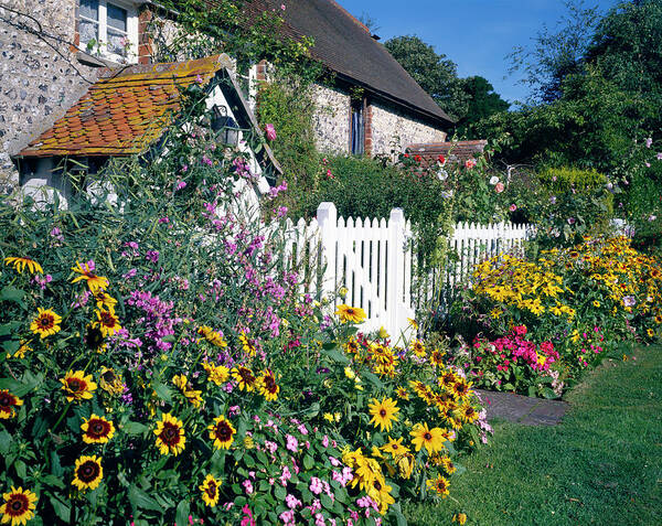 Garden Art Print featuring the photograph Cottage Garden by Andy Williams/science Photo Library