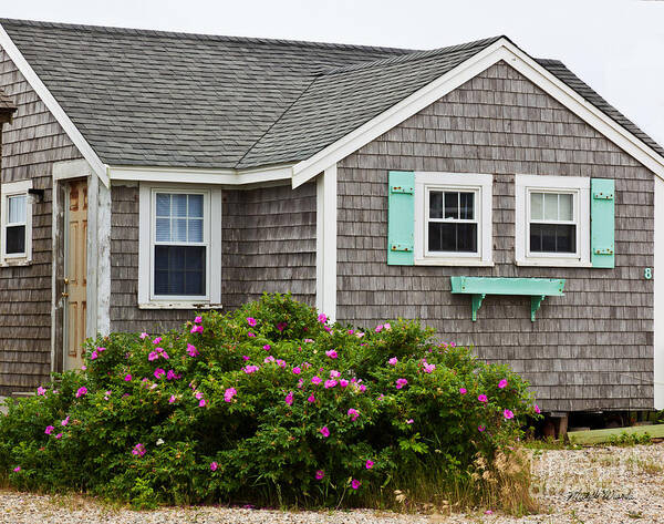 Cottage On The Cape Art Print featuring the photograph Cottage on the Cape by Michelle Constantine