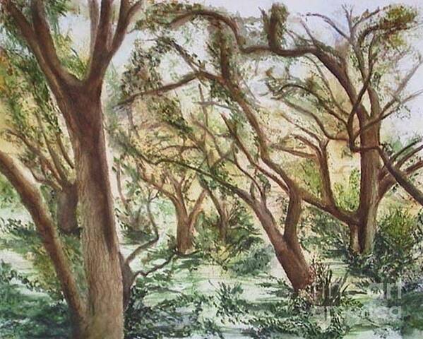 Oak Trees Art Print featuring the painting Descanso Oaks by Laura Hamill