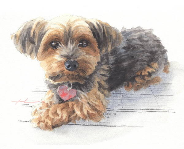 <a Href=http://miketheuer.com Target =_blank>www.miketheuer.com</a> Desktop Calendar Yorky Dog Watercolor Portrait Mike Theuer Art Print featuring the drawing Desktop Calendar Yorky Dog Watercolor Portrait by Mike Theuer