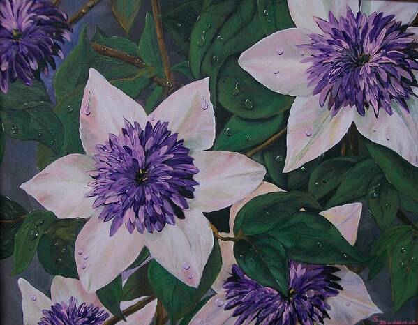 Clematis Art Print featuring the painting Clematis after the Rain by Sharon Duguay