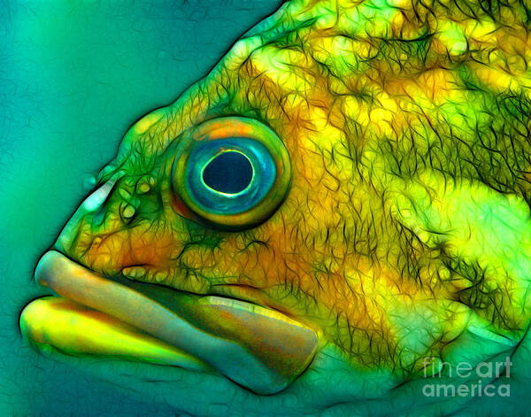 Fish Art Print featuring the mixed media Do You Truly See Me by Francine Dufour Jones