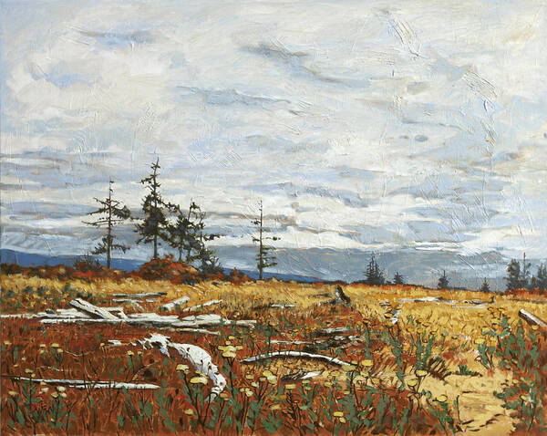 Original Oil Painting By Rob Owen. Landscape Painting Art Print featuring the painting Driftwood Meadow by Rob Owen
