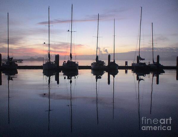 Sailboats Art Print featuring the photograph Eureka Harbor at Sunset by Laura Wong-Rose