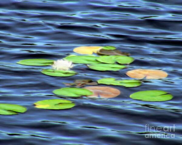 Water Art Print featuring the painting Evening Lake with Water Lily by Pet Serrano