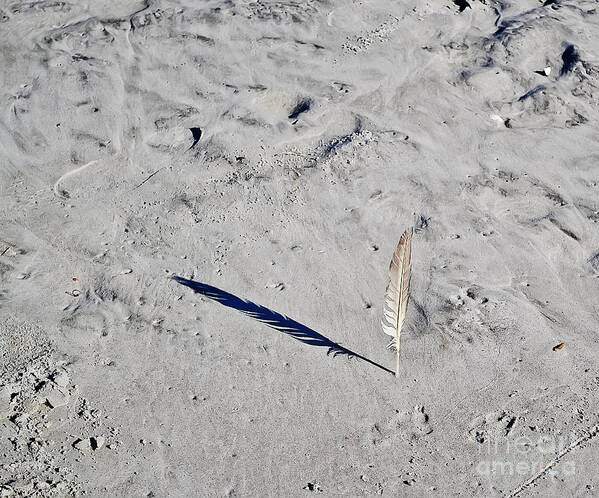 Folly Beach Art Print featuring the photograph Shadow in the Sand by Elvis Vaughn