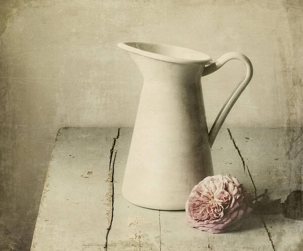 Pitcher Art Print featuring the photograph Femininity by Amy Weiss