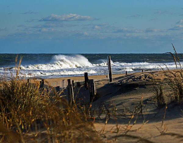Fenwick Island Art Print featuring the photograph Fenwick Dunes and Waves by Bill Swartwout
