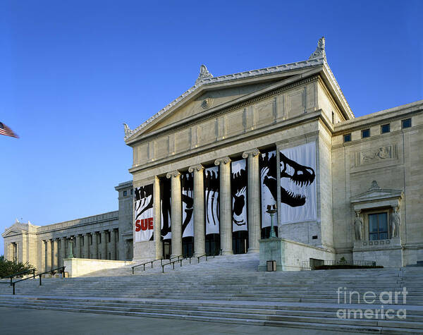 Field Art Print featuring the photograph Field Museum Of Natural History by Rafael Macia