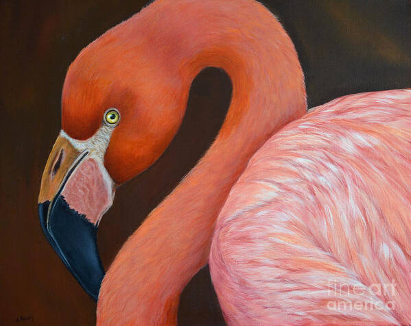 Flamingos Art Print featuring the painting Flamingo Pretty in Pink by Nancy Lauby