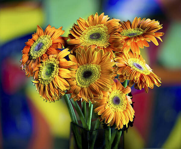 Flowers Art Print featuring the photograph Flowers by Niels Nielsen