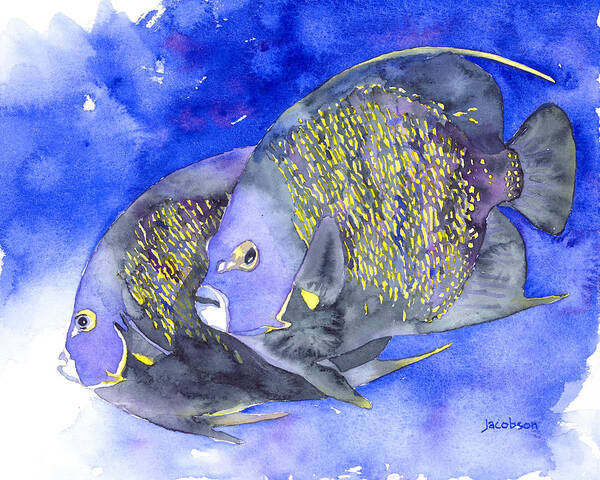 Angelfish Art Print featuring the painting French Angelfish by Pauline Walsh Jacobson