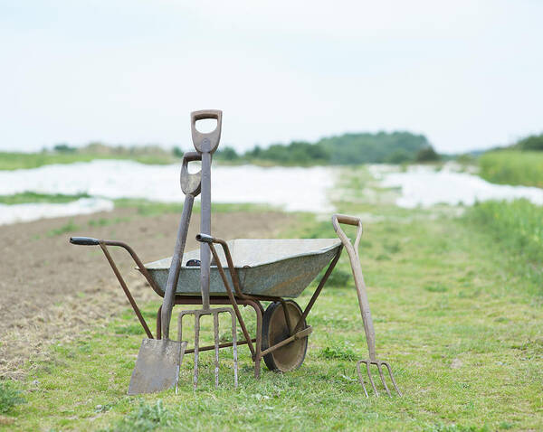 Grass Art Print featuring the photograph Gardening Tools And Wheel Barrow On by Dougal Waters
