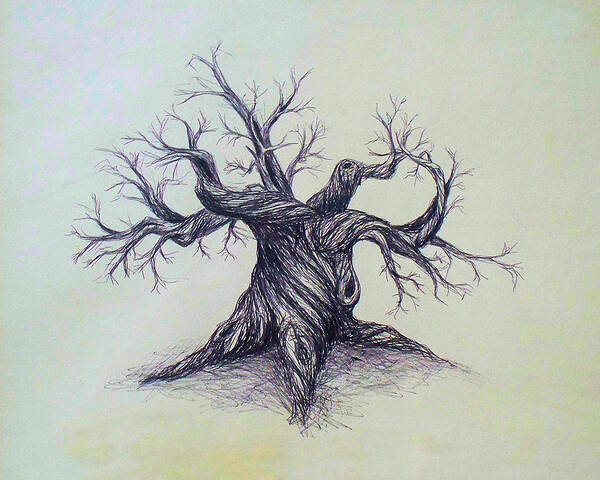 Gnarled Tree Pen Ink Paper Austin Texas Art Print featuring the drawing Gnarled Tree by Troy Caperton
