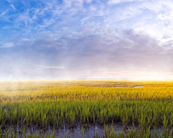 Tybee Island Art Print featuring the photograph Golden Coastal Marshes at Dawn - Georgia by Mark Tisdale