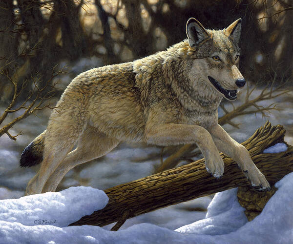 Wolf Art Print featuring the painting Gray Wolf - Just for Fun by Crista Forest