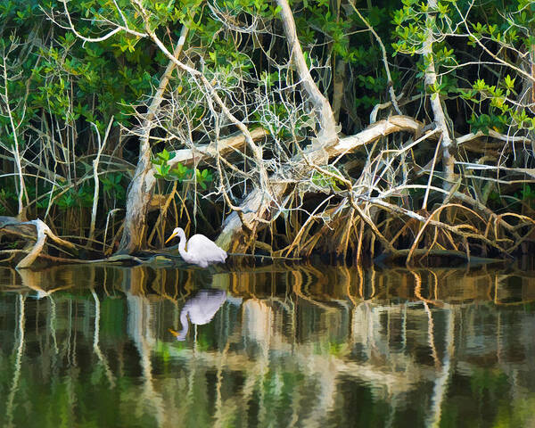 White Egret Bird Art Print featuring the photograph Great White Egret and Reflection in Swamp Mangroves by Ginger Wakem