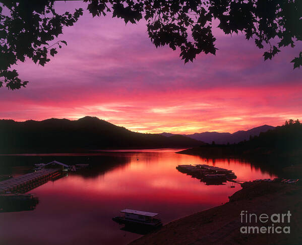 Lake Shasta Art Print featuring the photograph Houseboats On Lake Shasta In Ca by Jim Corwin