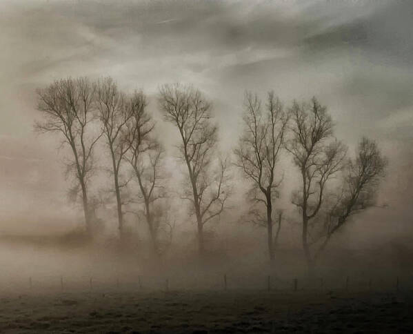 Morning Art Print featuring the photograph How Nature Hides The Wrinkles Of Her Antiquity Under Morning Fog And Dew by Yvette Depaepe