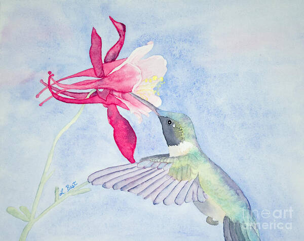 Ruby-throated Art Print featuring the painting Hummingbird and Columbine by Laurel Best