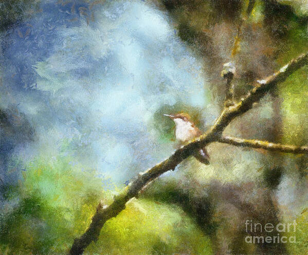 Hummingbird Art Print featuring the photograph Hummingbird by Kerri Farley