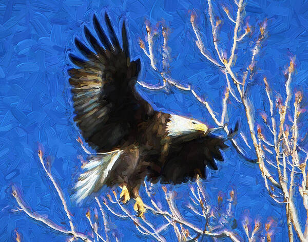 Eagle Art Print featuring the photograph Inbound Eagle by John Freidenberg