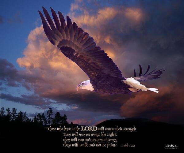 Eagles Art Print featuring the digital art Isaiah 40 31 by Bill Stephens